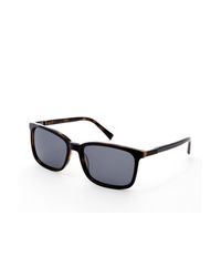 Ted Baker 56mm Acetate Square Polarized Sunglasses in Black for Men - Lyst