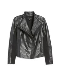halogen collarless leather jacket