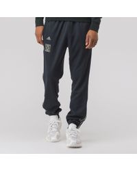 calabasas track pant luna