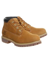 timberland nelson chukka