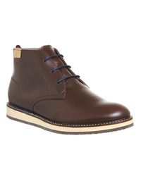 lacoste millard chukka