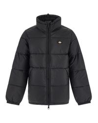 dickies winter jacket