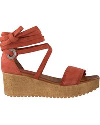Camel OMODA Sandalen 722021 | Omoda