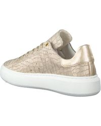 Omoda Dames Lage sneakers Kady Fat Beige - Schoenen.nl