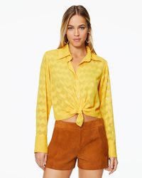 Ramy Brook Multicolor Adele Suede Shorts