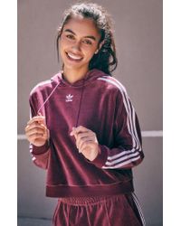 adidas originals maroon velour cropped hoodie