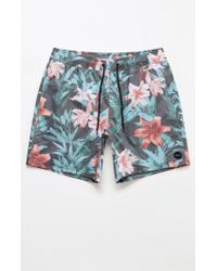 rvca montague 17 swim trunks