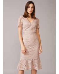 phase eight lace dress sale
