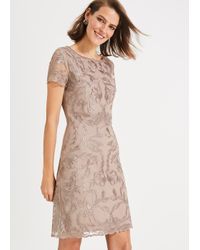 phase eight lace dress sale