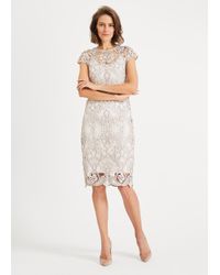 phase eight clothes uk