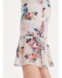 phase eight keely dress