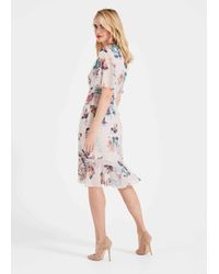 phase eight keely floral dress