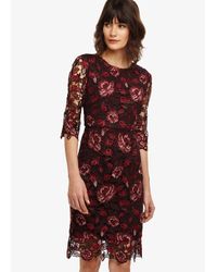 phase eight belle lace dress claret