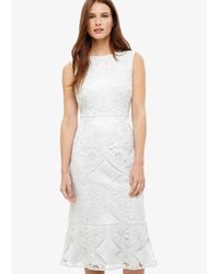 phase eight jemime lace dress