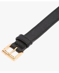 prada dog accessories