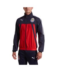 chivas jacket puma