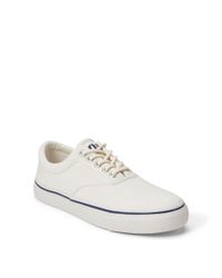 bryn canvas sneaker
