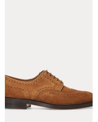 Polo Ralph Lauren Merton (Blauw) - Veterschoenen chez Sarenza (358266)