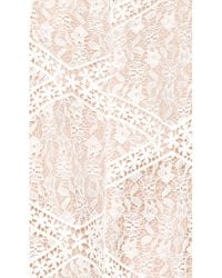 sequoia lace mini dress