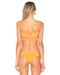 Tavik Orange Jessi Top