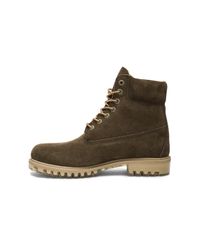 timberland autumn leaf