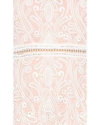 alexis white lace luxe dress