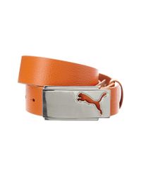 PUMA Puma Men's Golf High Flyer Leather Belt in Orange for Men - Lyst