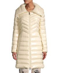faucon moncler