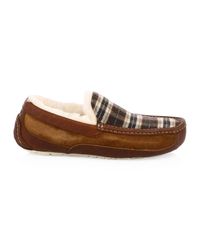 ugg ascot pendleton plaid slipper