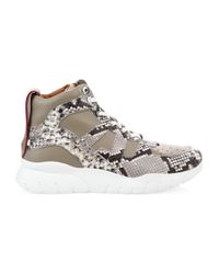 bally snake sneakers