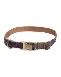 barbour webbing belt