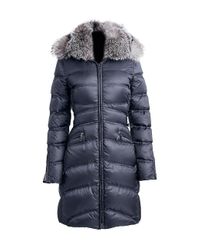 dawn levy bee down coat
