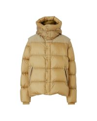 down jacket burberry