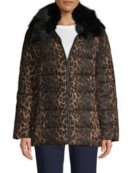 tahari plus size coats