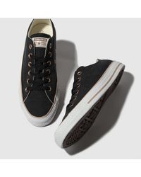 grey all star peached canvas ox trainers