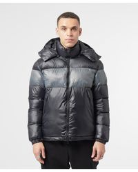 scotts armani jacket