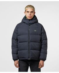 lacoste live down jacket