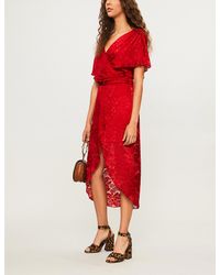 alice and olivia darva