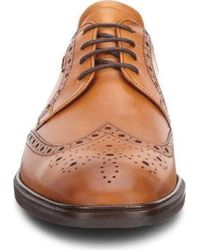 ecco illinois wingtip