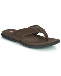 timberland tong