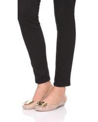 salvatore jelly flats