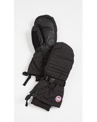 canada goose gloves toronto