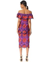 alice mccall tutti frutti dress