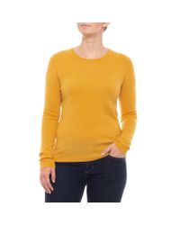 tahari pullover