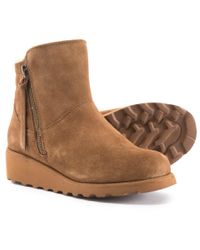 bearpaw wedges