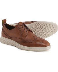 ecco brogues