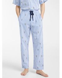 polo teddy bear pajamas