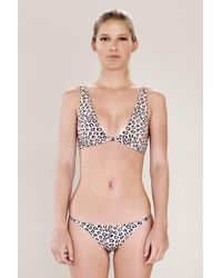 Acacia Swimwear Multicolor 2019 Bosa Top In Wild
