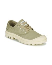 palladium basse blanche