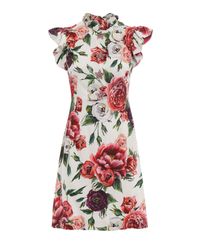 Dolce & Gabbana Multicolor Cady Printed Dress